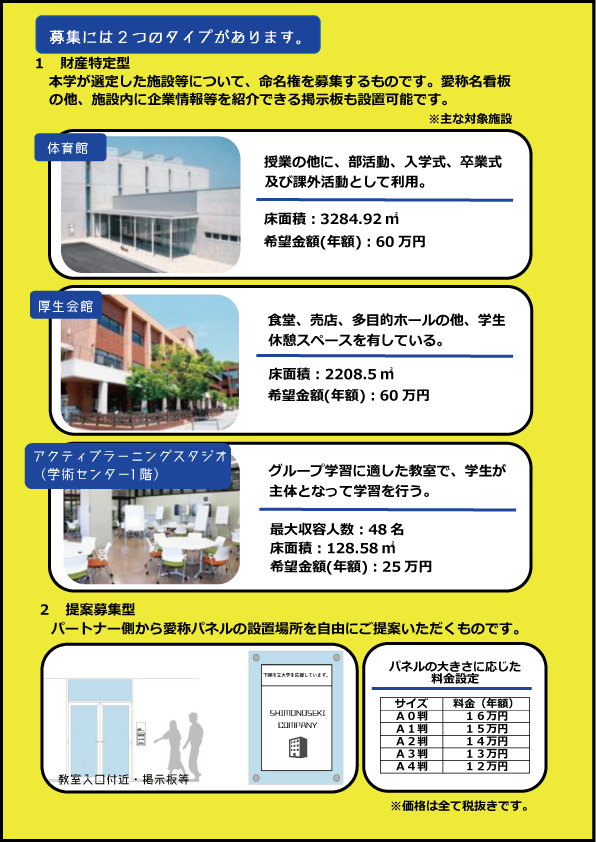 命名骑士招募传单背面